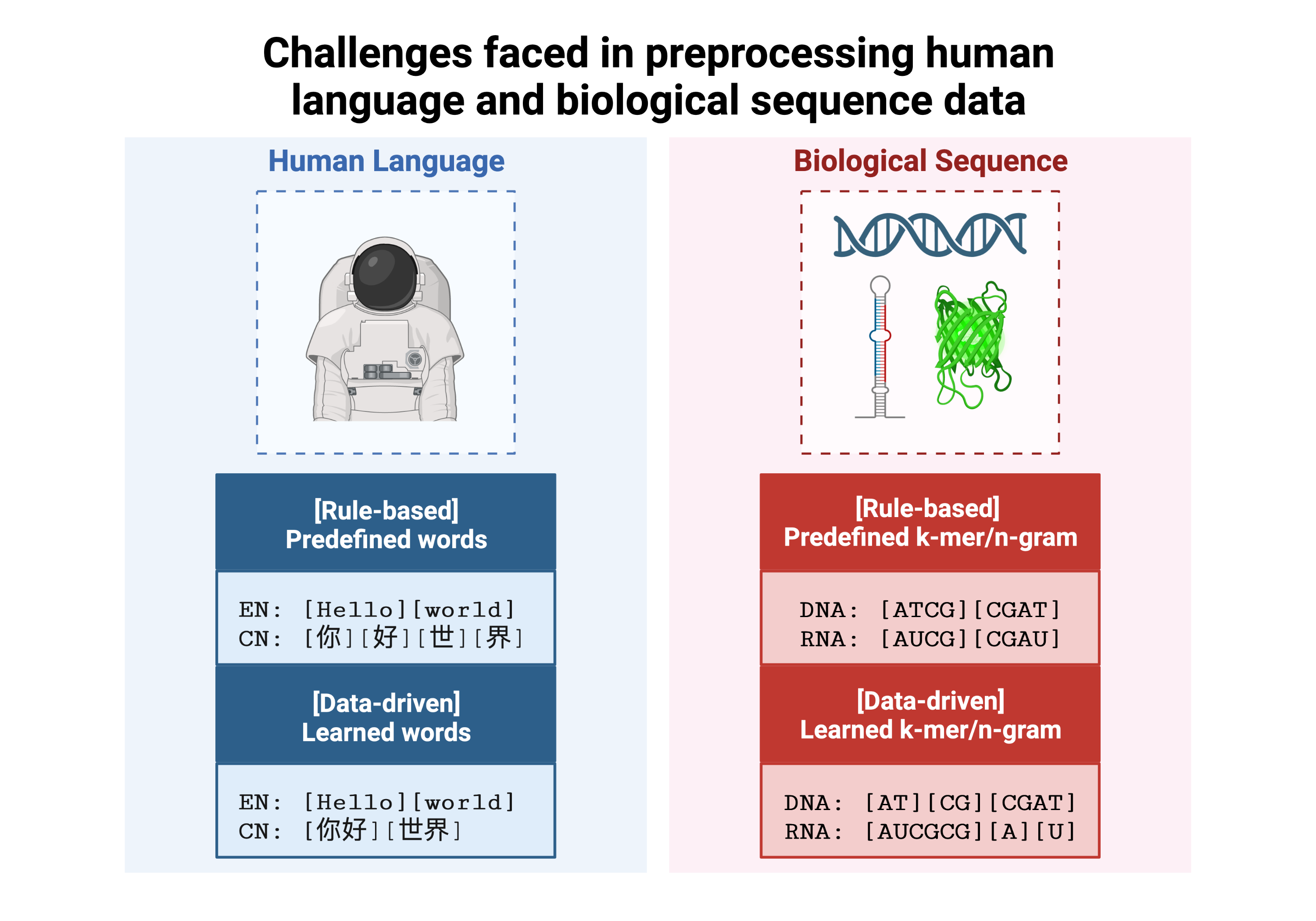 _images/bio_vs_nlp.png